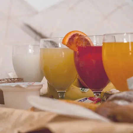 Palace Hotel Vercelli